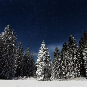 变态㓜交小说合集
