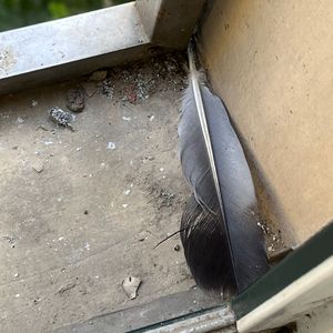 变态㓜交小说合集
