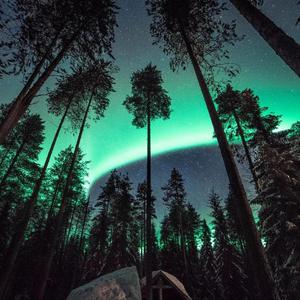 变态㓜交小说合集
